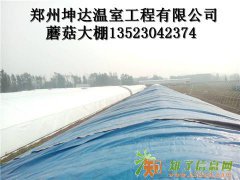 食用菌大棚卖家最好的？13523042374找郑州坤达温室工