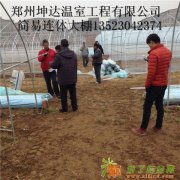 一般温室大棚蔬菜大棚建造团队