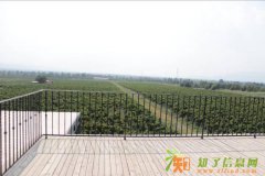 北京真人CS基地