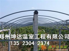 驻马店温室大棚建设温室大棚造价郑州坤达好品质