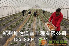 冬暖式无立柱大棚方案图纸配件设计