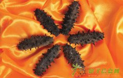 回收5X极草含片回收极草含片回收海参13261083335