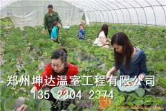 樱桃大棚建造哪里最好了