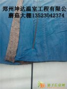 食用菌大棚专用大棚建造要注意哪些