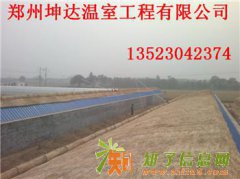 开封日光温室优质日光温室蔬菜价格情况