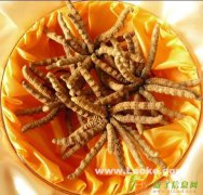 回收海参高价回收5X极草含片13001917195