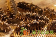 唐山收冬虫夏草13439336999收大连海参 收山东海参