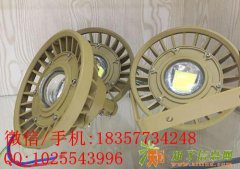 集成led防爆灯10w 20w 30wled防爆投光灯