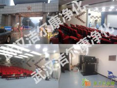 武汉除甲醛公司 武汉测甲醛检测公司 去甲醛公司 装修除味公司