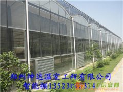 花卉大棚厂家郑州坤达温室工程有限公司