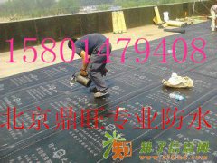 北京宣武专业承接阳台窗台厨房楼顶卫生间做防水维修
