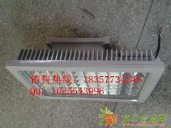 应急罩棚灯 内置LED灯120W