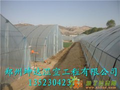 温室大棚保温被供应温室大棚批发