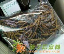 万康高价回收冬虫夏草等礼品礼盒3