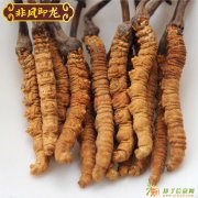 万康高价回收冬虫夏草等礼品礼盒2