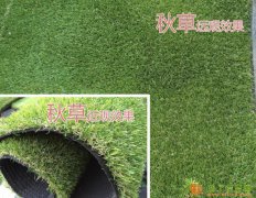 人造草坪批发价格15010168807