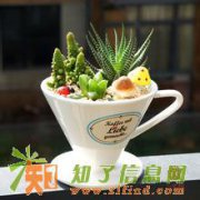 丰台区成立09年10万商贸公司诚意转让 干净正常转让