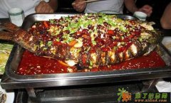 无锡烤鱼培训江苏烤鱼加盟