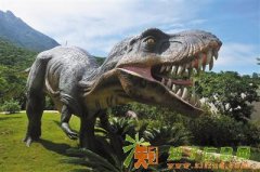 杨梅坑单车环岛深圳海滨浪漫休闲一日游