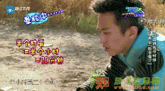 数学不好的明星都有那些