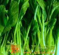 深圳市蔬菜配送盐田区蔬菜粮油冻肉批发沙头角食堂承包公司