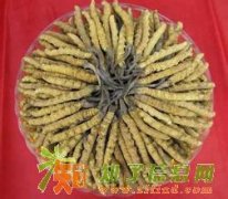 回购冬虫夏草 回购海参 回购燕窝 北京市上门回收