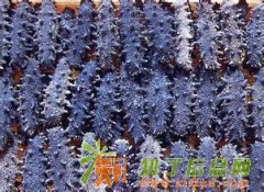 今年冬虫夏草价格 收冬虫夏草 收海参 收燕窝