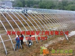 郑州最新型土坑棚设计建造，建造规格，建造标准