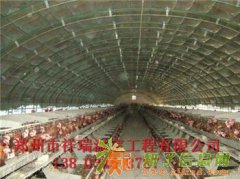 养殖大棚支架新乡温室养鸡大棚搭建方法13803858787