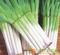 深圳市蔬菜配送龙岗区食堂承包坪地粮油批发坪山蔬菜配送公司