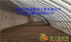 山西大同建造一个日光温室大棚价格是多少