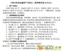 上海优质金融资产包转让（抵押物价值20亿元）