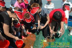 惠州大亚湾惠州小桂湾度假村夏日出海彻日狂欢