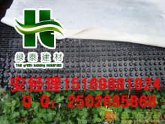 中山地下室底板排水板（2公分）阳江车库排水板%塑料隔根板 