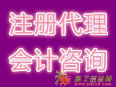 代理记账专业会计服务代理工商注册