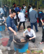 惠州周边大亚湾农家乐一日游期待爆棚