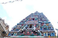 为了子女选择马来西亚第二家园蓝卡项目