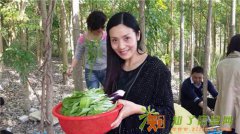 惠州农家乐惠州附近大亚湾25式休假最佳之地