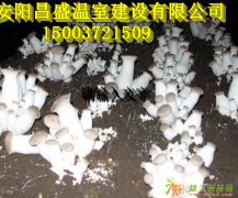 临汾普通食用菌大棚设计预算骨架安装