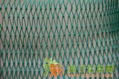 湖南南洞庭湖渔业绳网发展有限公司