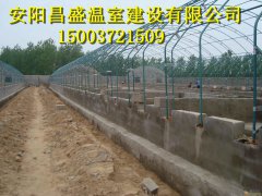 沁阳养殖大棚建造费用温室大棚建造团队
