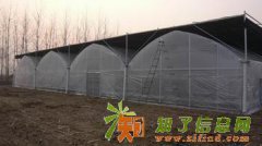 巩义简易连栋大棚建造供应温室大棚骨架