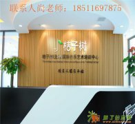 双桥传媒大学学唱歌到大望路桔子树连锁音乐