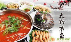酸汤鱼加盟-大黔苗鱼 小额投资 轻松当老板
