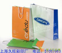 上海奉贤区服装袋 食品袋 礼品袋 糖果袋 无纺布袋等印刷定做