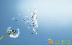 贵阳花溪报名造价员培训多少钱