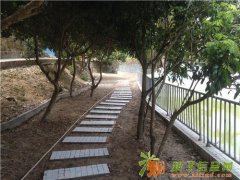 惠州大亚湾来了就不想回去的农家乐野炊