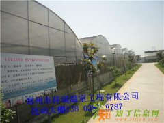 邯郸蔬菜大棚邢台日光温室荆州连栋温室标准