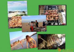 惠州大亚湾农家乐别样的野炊生活初体验