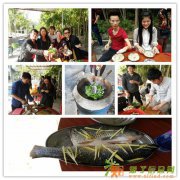 惠州小桂湾团队式出游野炊烧烤海滨单车一日游